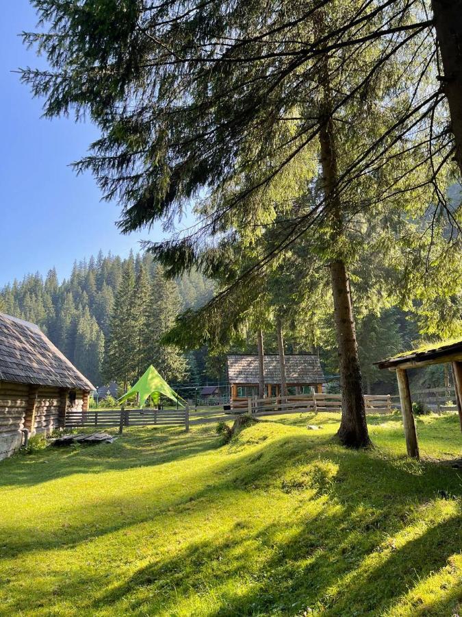Synevyrske Ozero Синевирська Поляна Екстер'єр фото